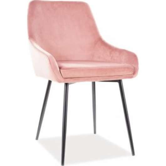 2 st Albi matstol - Rosa sammet - Klädda & stoppade stolar