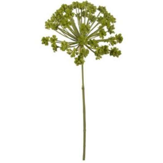 Allium konstblomma - Konstväxter, Inredningsdetaljer