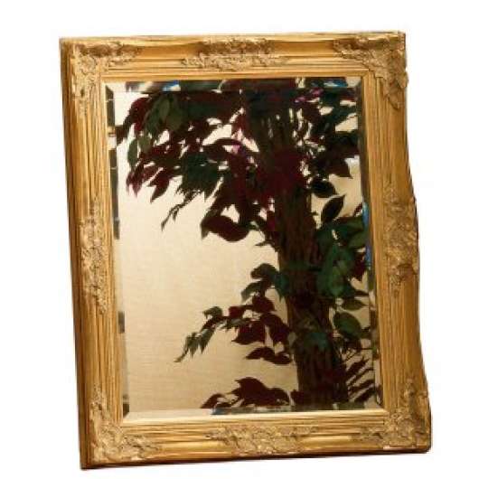 Barock väggspegel guld 75x65 cm Vertikalt / Horisontellt - Väggspeglar & hallspeglar, Speglar