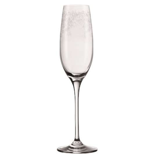 Chateau Champagneglas 20 cl 6-pack Klar/Mänster