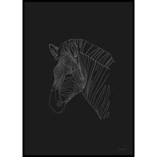 Digital zebra - poster 50x70 cm - posters