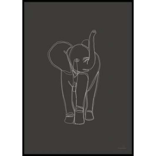 ELEPHANT - Poster 50x70 cm - Posters, Väggdekor
