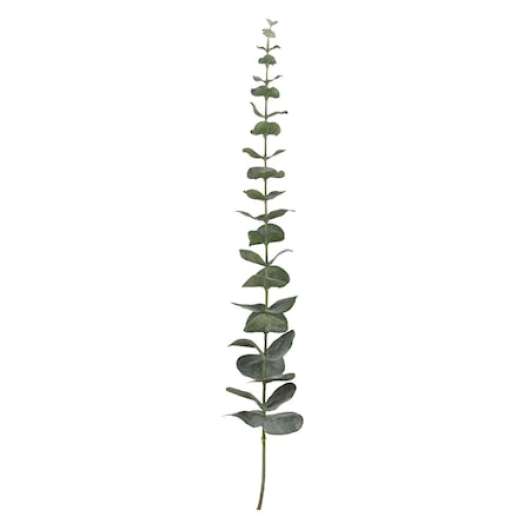 Flora eucalyptus H64 cm