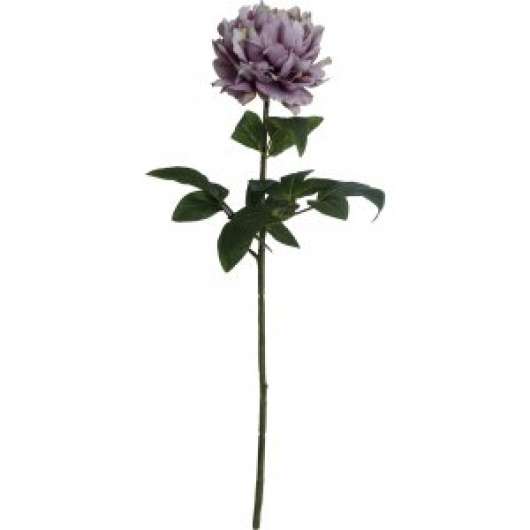 Hortensia konstväxt - Lila - Konstväxter, Inredningsdetaljer