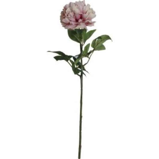 Hortensia konstväxt - Rosa - Konstväxter, Inredningsdetaljer