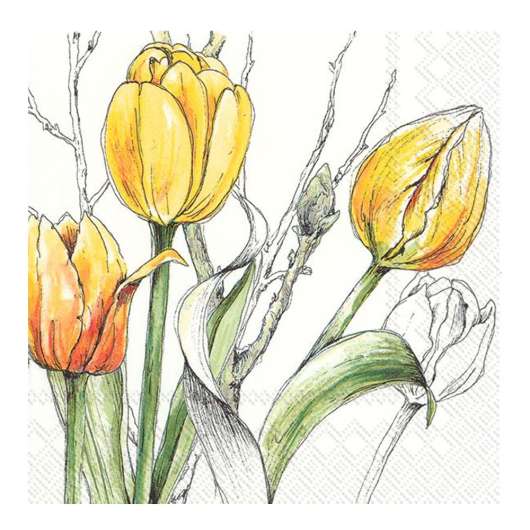 IHR - Servett Colorful Tulips 33x33 cm