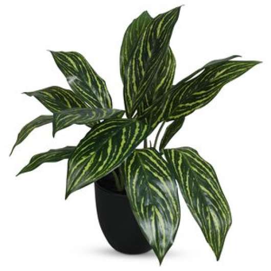 Konstväxt - Philodendron H35 cm - Konstväxter