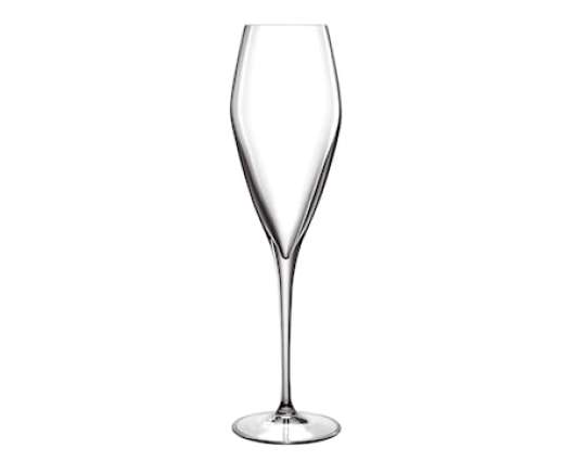 LB Atelier Champagneglas 27cl Prosecco 1-pack
