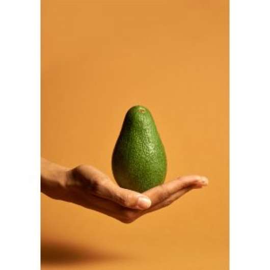Poster - Avocado - 21x30 - Posters