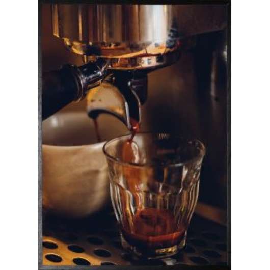Poster - Barrista - 21x30 cm - Posters