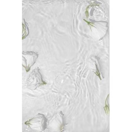 Poster - White roses - 21x30 - Posters