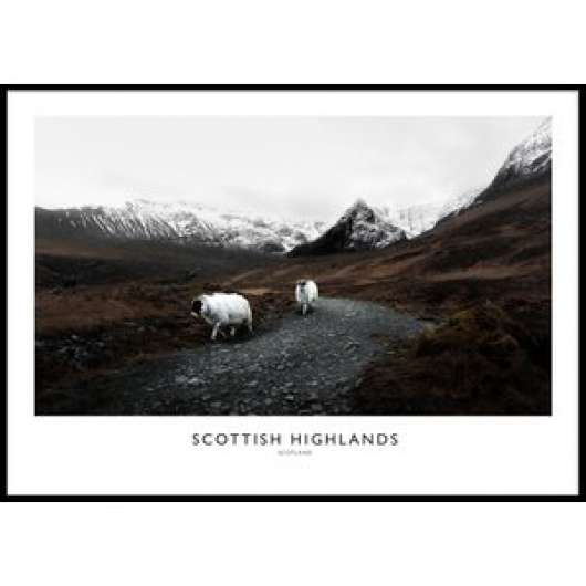Scottish highland no 2 - poster 50x70 cm - posters