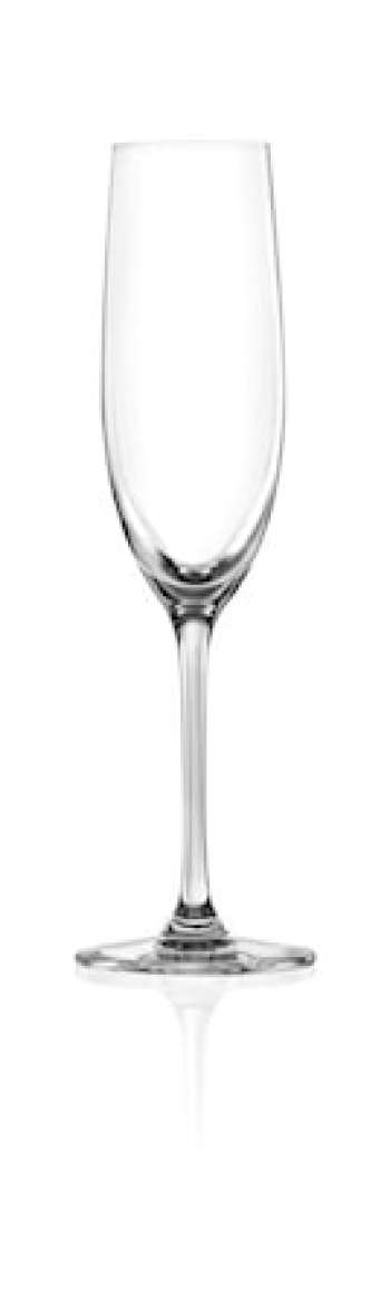 Sontell Champagneglas 6-pack Klar